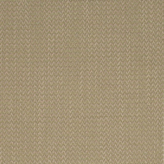 Fern Fabric D4169 Charlotte Fabrics