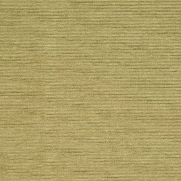 D4170 Pear Fabric Charlotte Fabrics