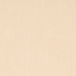 https://www.charlottefabrics.com/wp-content/uploads/2024/02/D4251-Putty_Large-v1-300x300.jpg