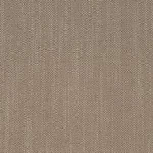 https://www.charlottefabrics.com/wp-content/uploads/2024/02/D4256-Clay_Large-v1-300x300.jpg