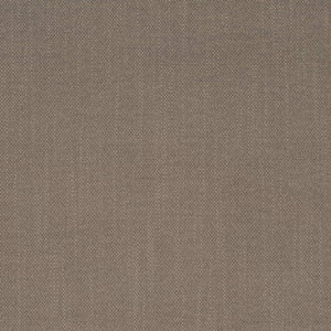 https://www.charlottefabrics.com/wp-content/uploads/2024/02/D4257-Pumice_Large-v1-300x300.jpg