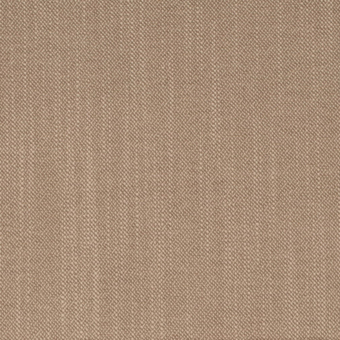 D4259 Oatmeal Fabric Charlotte Fabrics