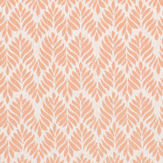 D4311 Shell Fabric D4311 Charlotte Fabrics