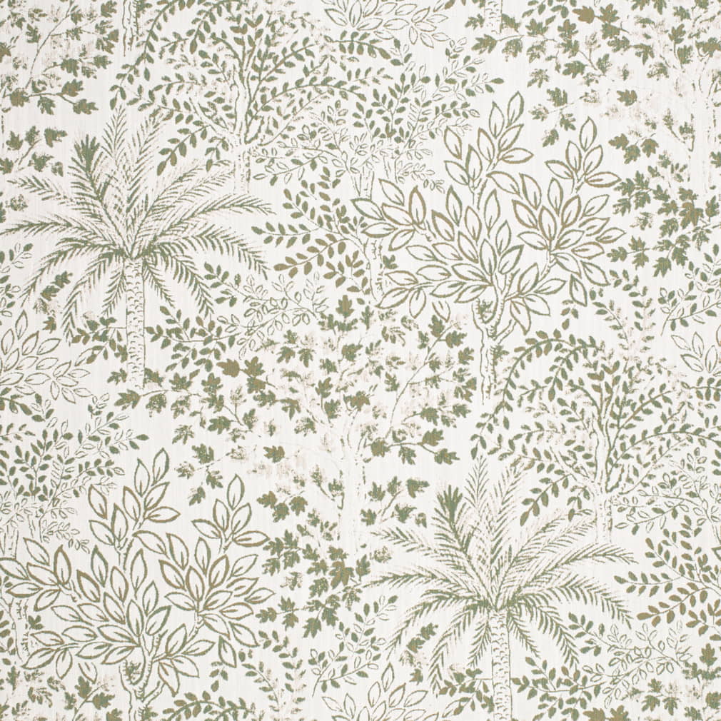 Palm Fabric D4332 Charlotte Fabrics