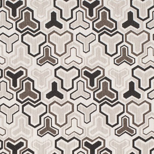 D4343 Raven Fabric D4343 Charlotte Fabrics