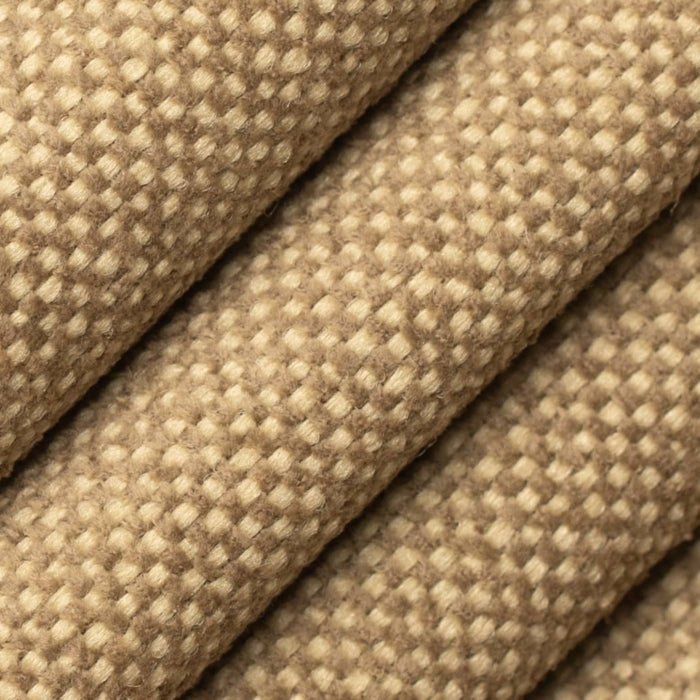 D4464 Latte Fabric Charlotte Fabrics