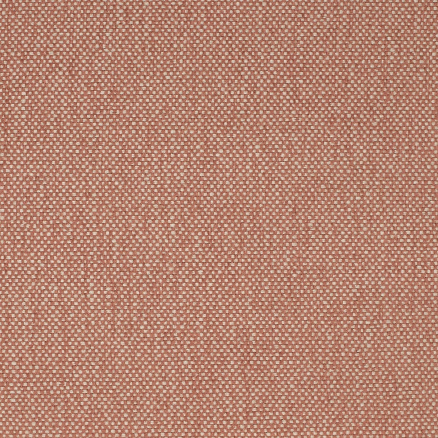 D4470 Adobe Fabric Charlotte Fabrics