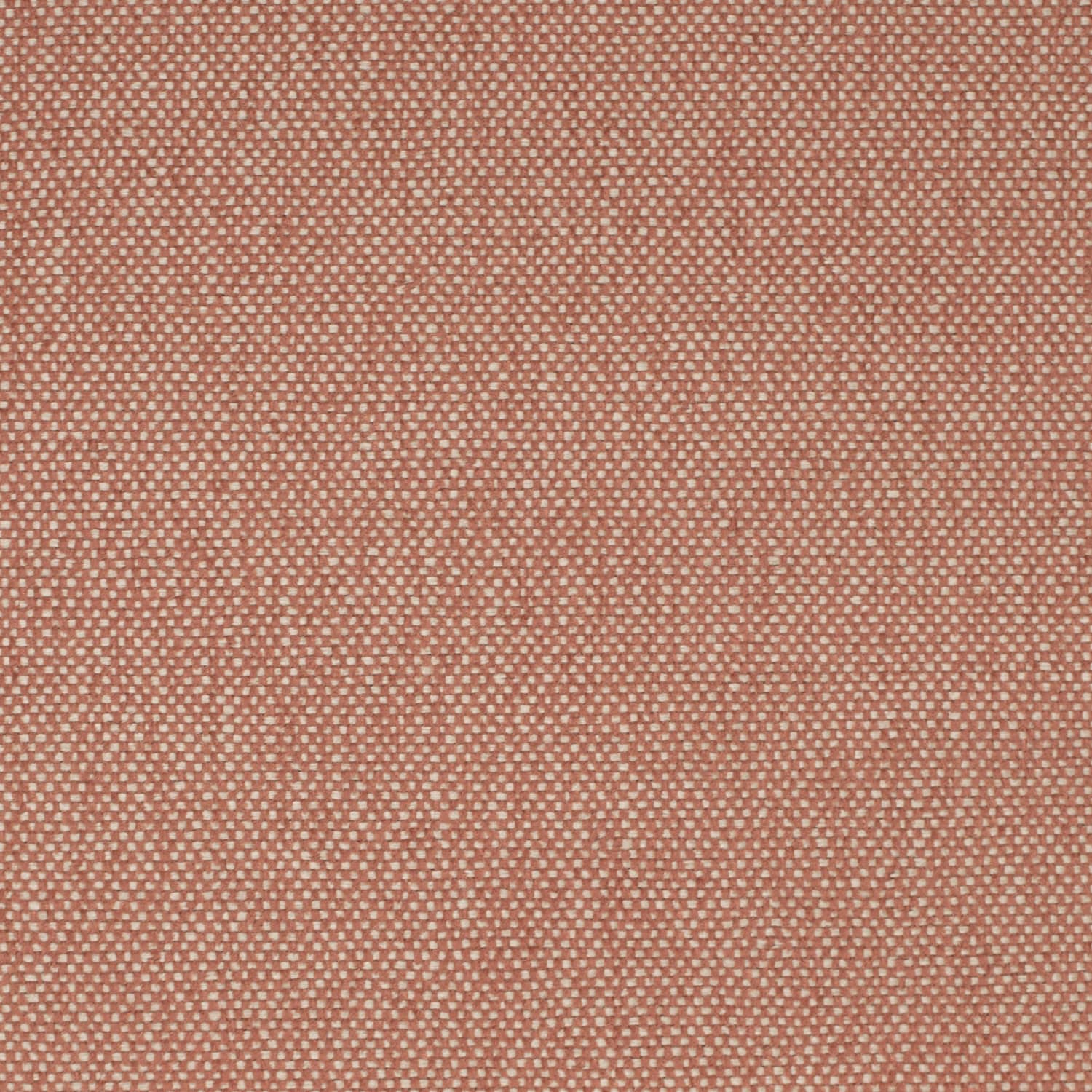 D4470 Adobe Fabric Charlotte Fabrics