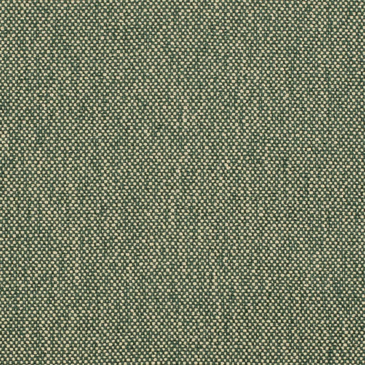 D4475 Hunter Fabric Charlotte Fabrics