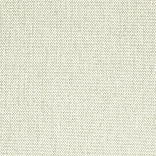 D4476 Celadon Fabric Charlotte Fabrics
