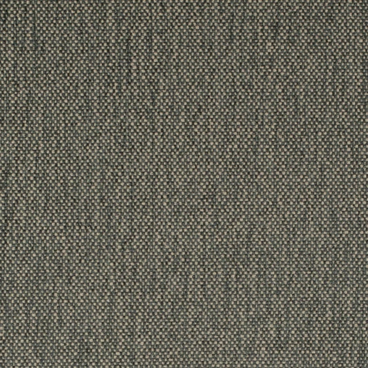 D4488 Zinc Fabric Charlotte Fabrics
