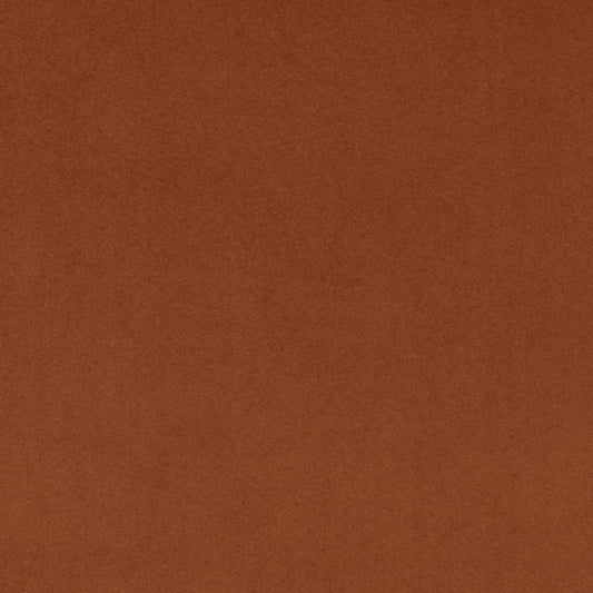Ginger Fabric D4501 Charlotte Fabrics - Extra fabrics