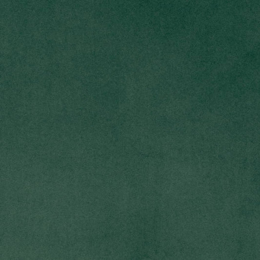 D4517 Pine Fabric Charlotte Fabrics - Extra fabrics