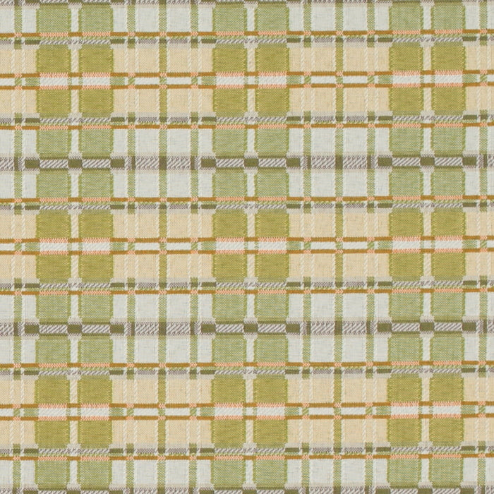 Artichoke Fabric D4616 Charlotte Fabrics