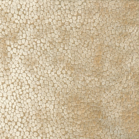 DOTSON BONE Mag Fabrics