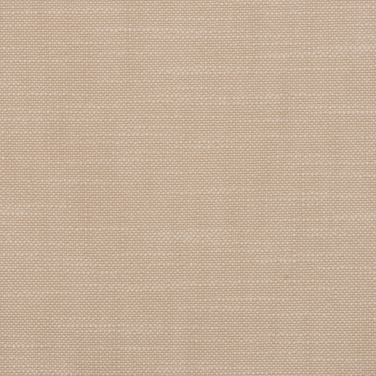 InsideOut FRANCES LATTE Magnolia Fabrics