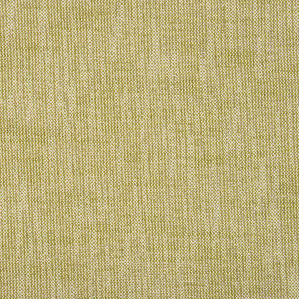 InsideOut FRANCES PALM Magnolia Fabrics