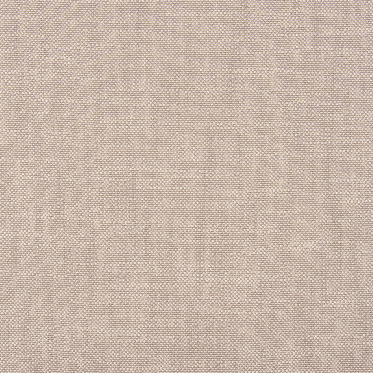 InsideOut FRANCES ZINC Magnolia Fabrics