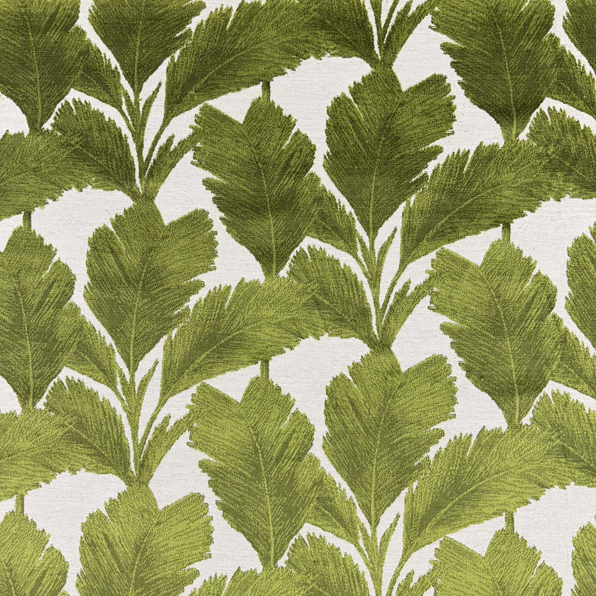 MEDORA PALM Mag Fabrics