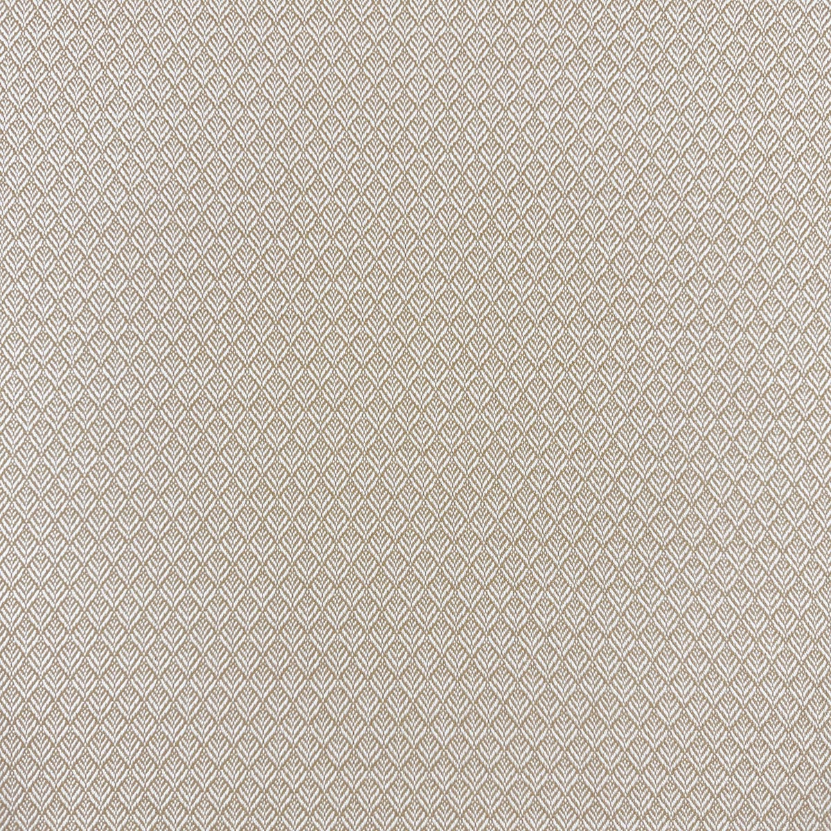 MIMUS HONEY Mag Fabrics