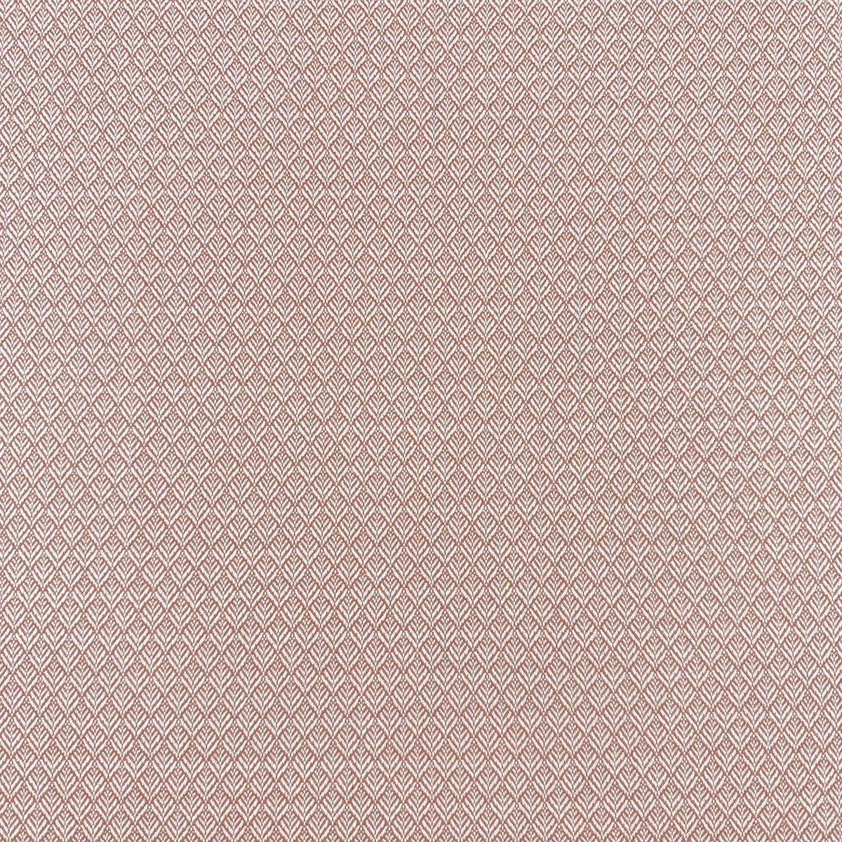 MIMUS PUNCH Mag Fabrics