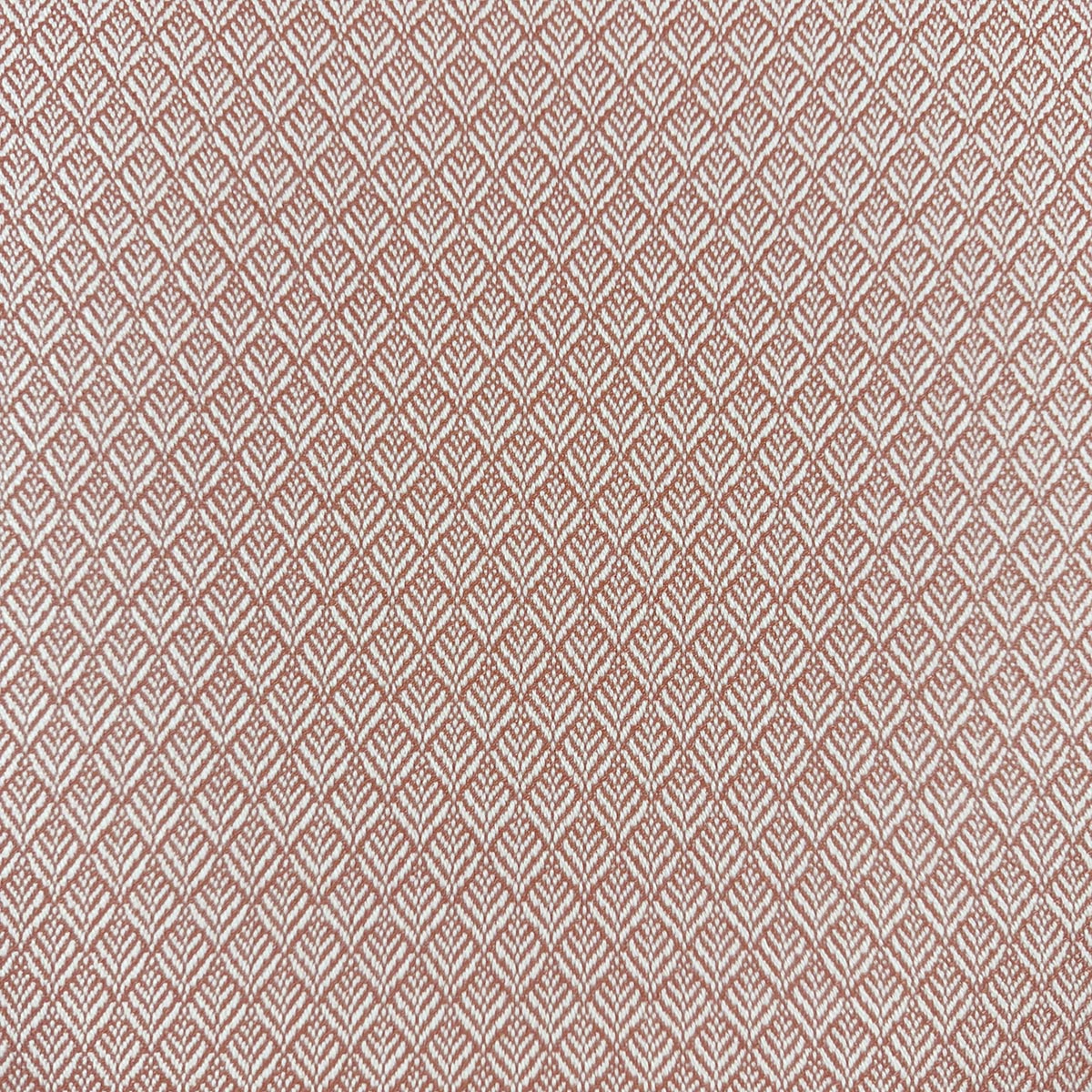 MIMUS PUNCH Mag Fabrics