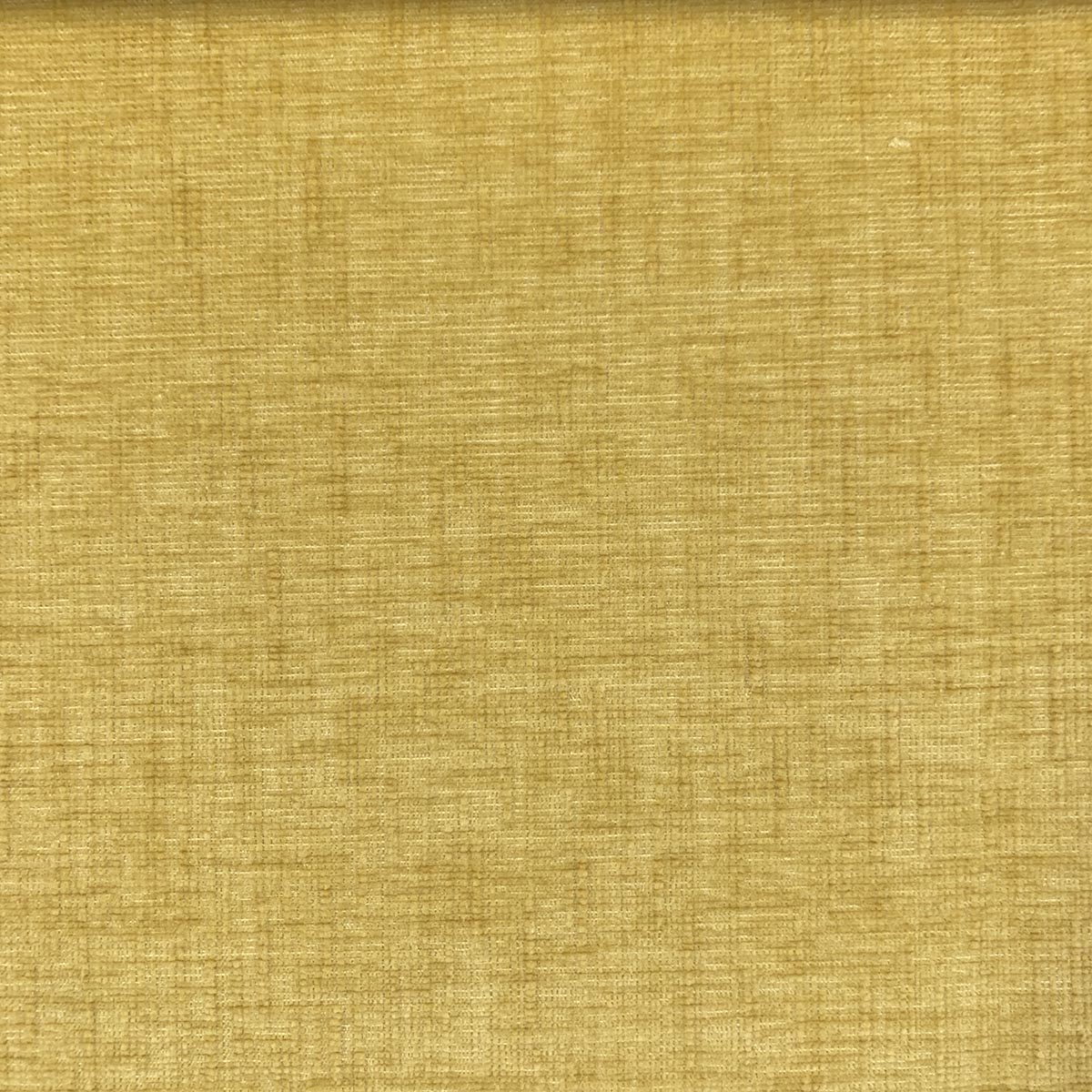 NILLY GOLDEN Mag Fabrics