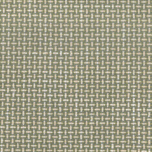 REGINA CHIVE Mag Fabrics