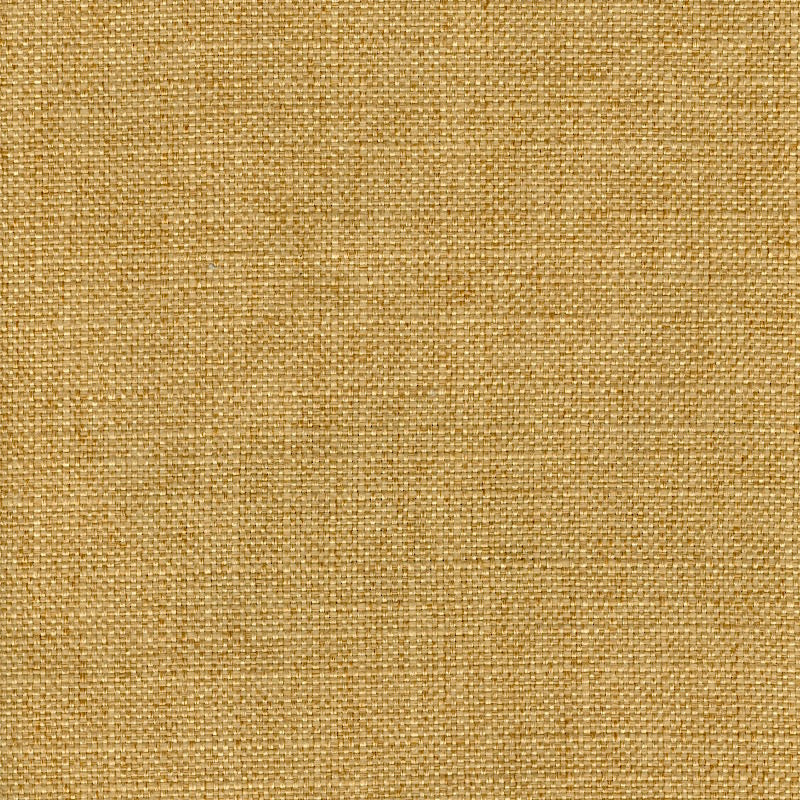 RUZGAR GOLD Mag Fabrics