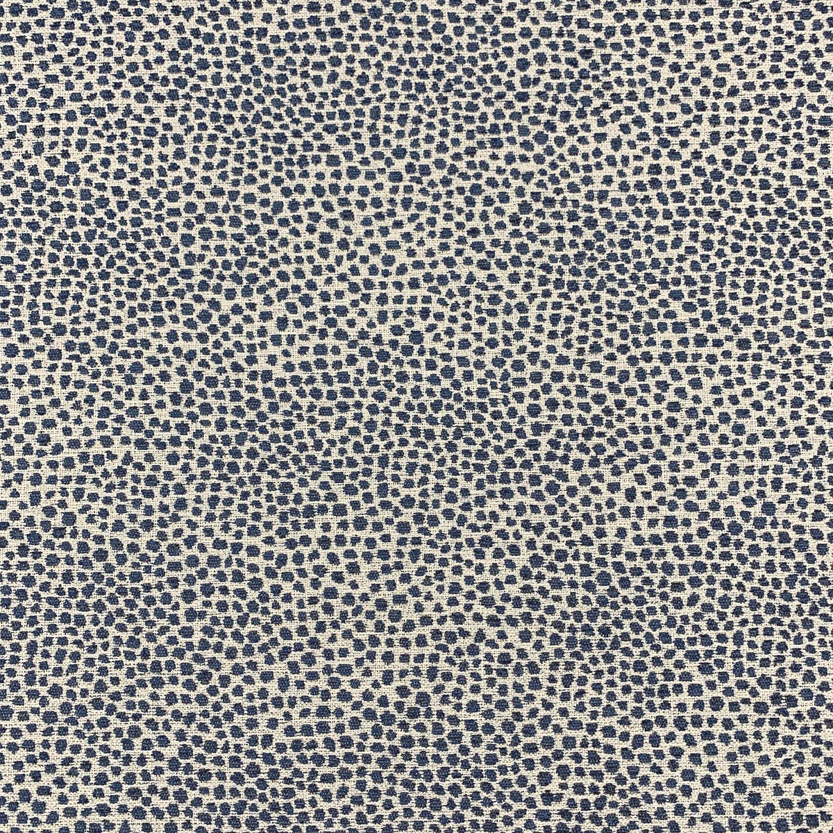 SPOT DENIM Mag Fabrics