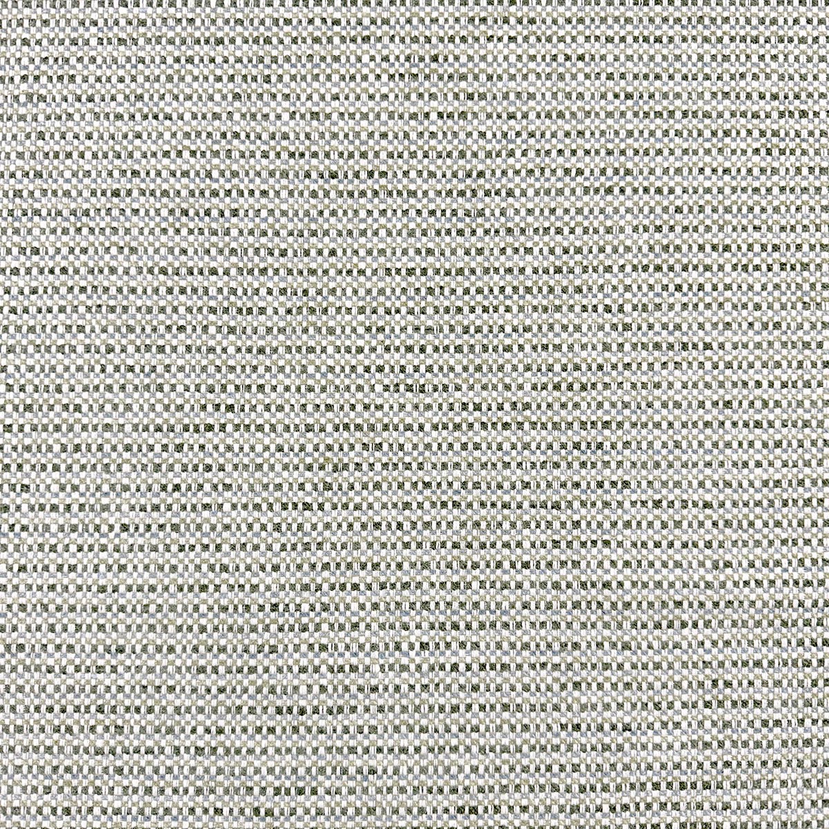 TAYLOR SAGE Mag Fabrics