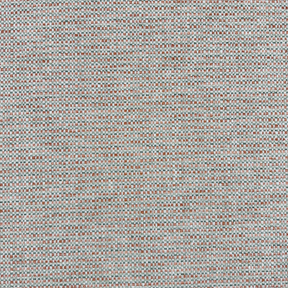 TAYLOR TERRA Mag Fabrics