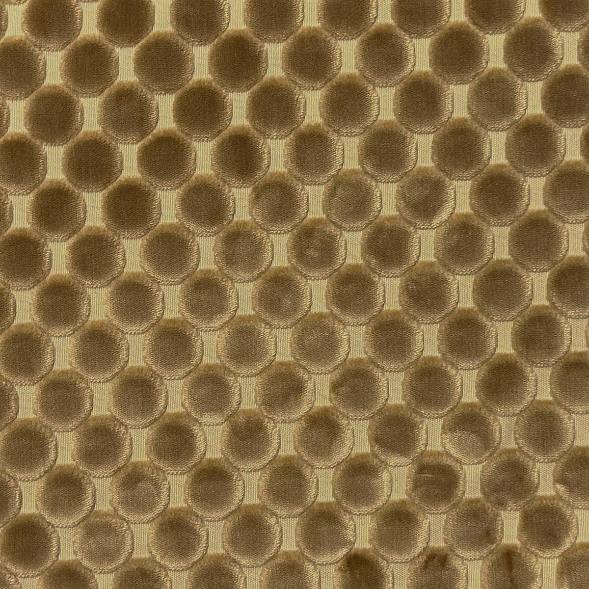 TRODO COIN Mag Fabrics