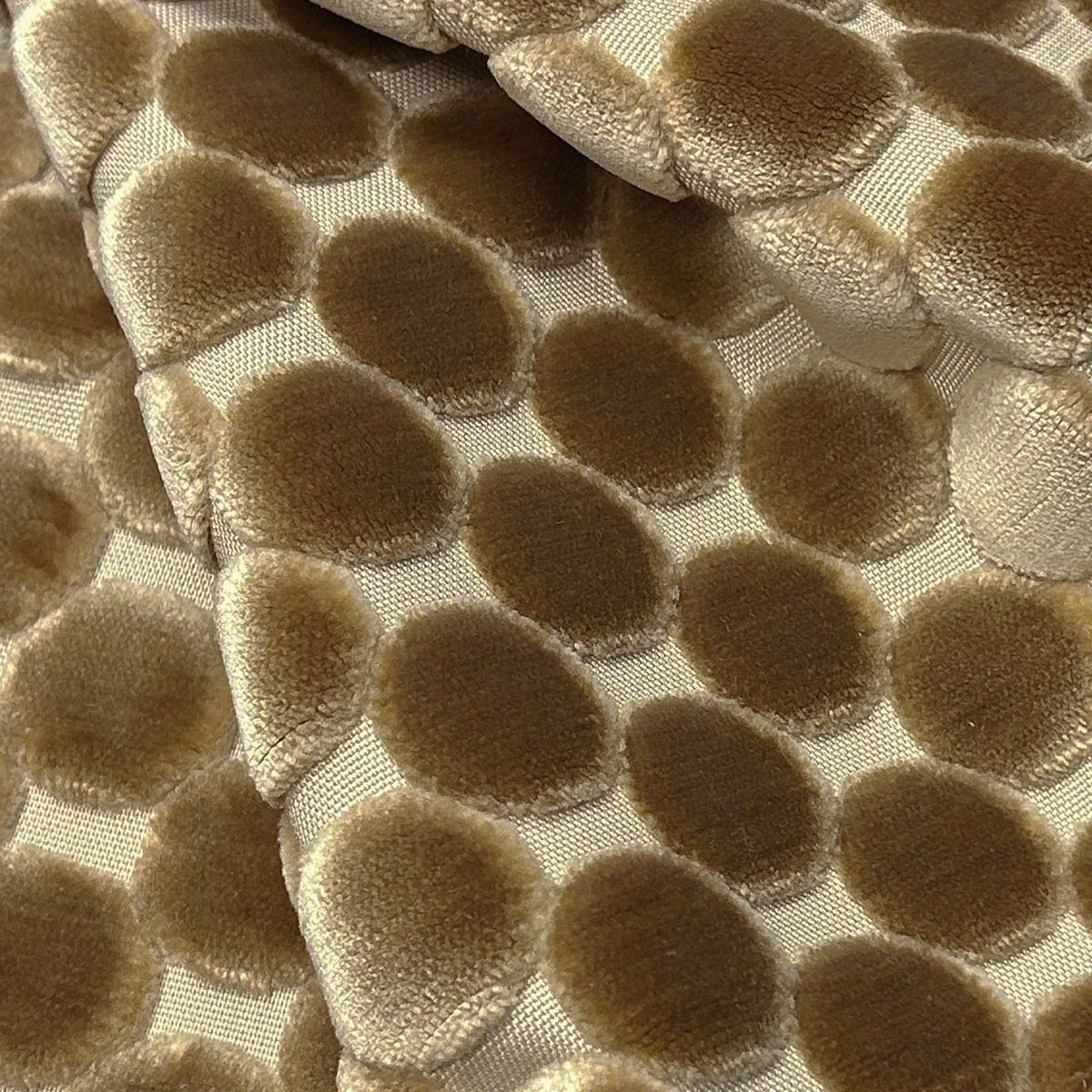 TRODO COIN Mag Fabrics