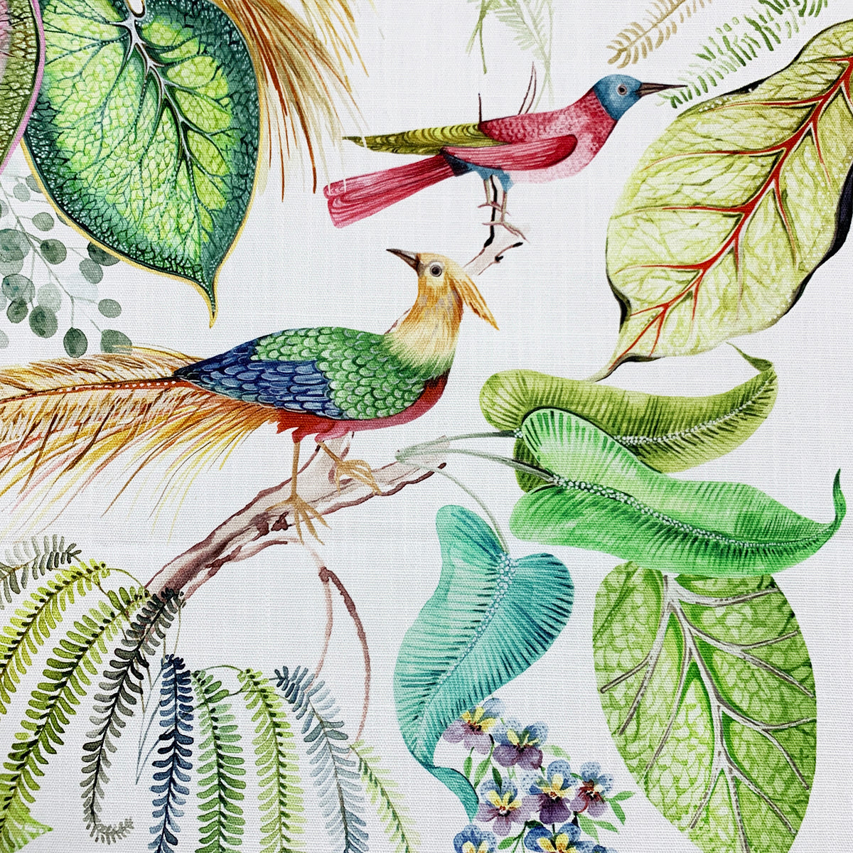 TROPIC FESTIVAL Mag Fabrics