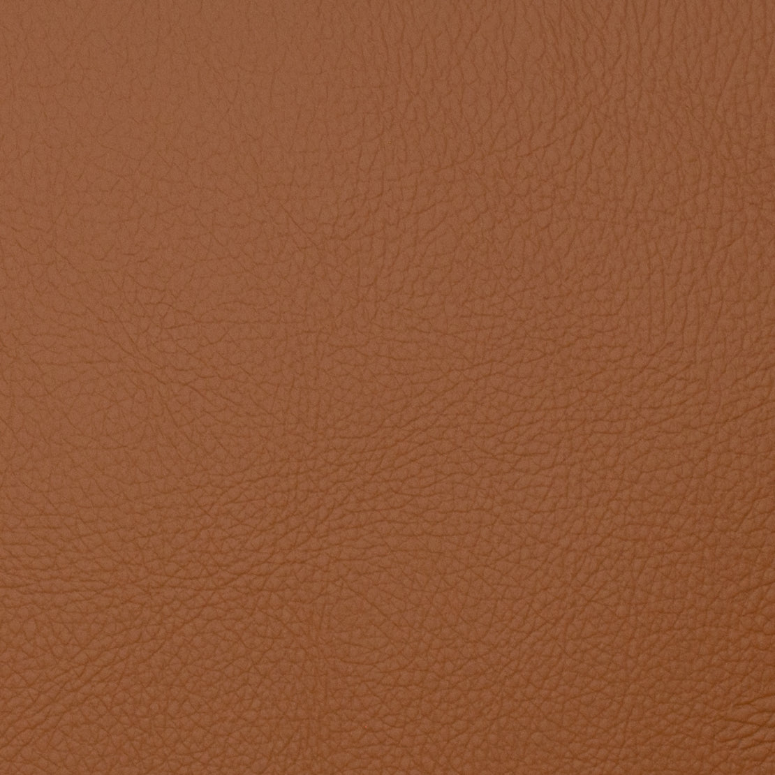VOYAGER MAPLE Mag Fabrics