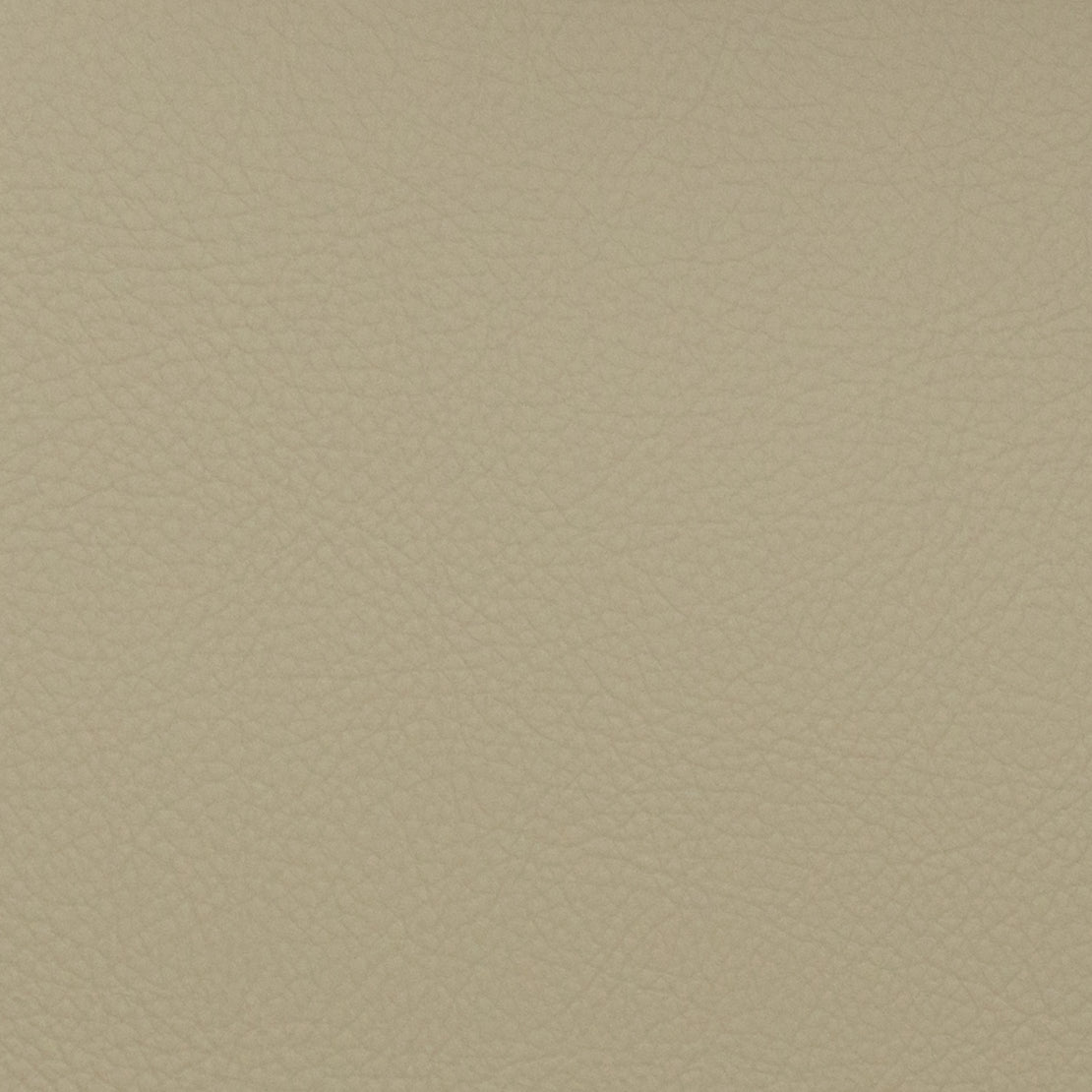 VOYAGER MUSHROOM Mag Fabrics