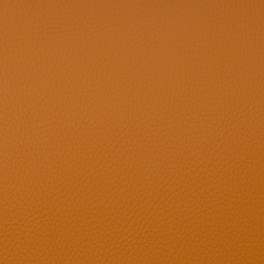 VOYAGER SPICE Mag Fabrics