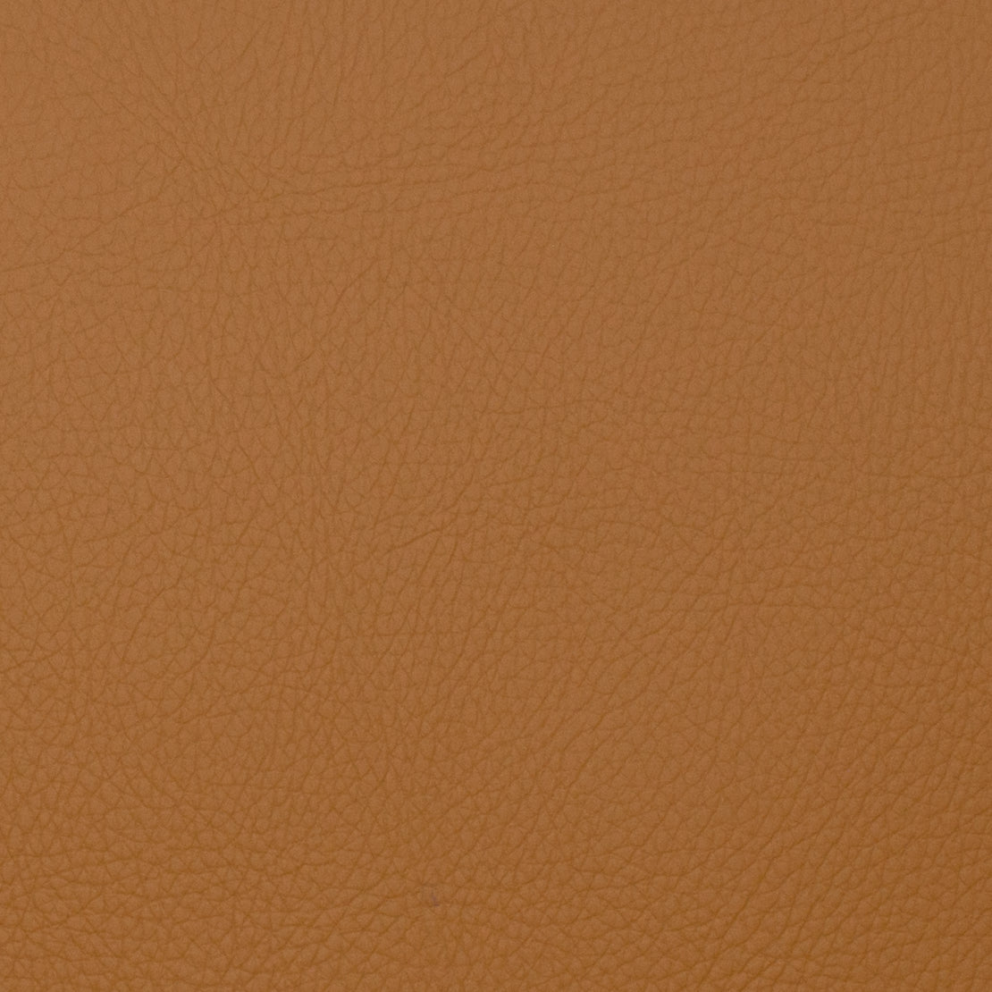 VOYAGER TOAST Mag Fabrics